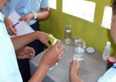 Alumnos realizando técnicas hidropónicas para la purificación del agua