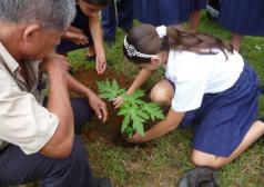 Alumna plantando árbol con indicaciones de su maestro