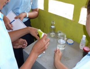 Alumnos realizando técnicas hidropónicas para la purificación del agua