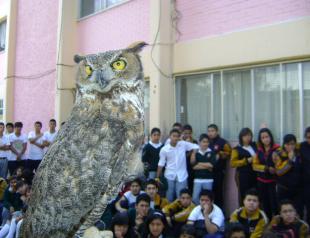 Experiencias escolares exitosas