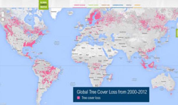 Mapa global