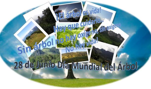 GANADOR TERCER LUGAR, CATEGORÍA JÓVENES