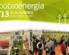 Expobioenergía 2013