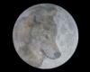 A la luna nueva del mes de enero se le conoce como, Luna de lobo, en honor a las manadas de lobos que aúllan en la noche.