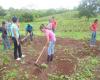 Alumnos trabajando en el huerto escolar