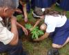 Alumna plantando árbol con indicaciones de su maestro